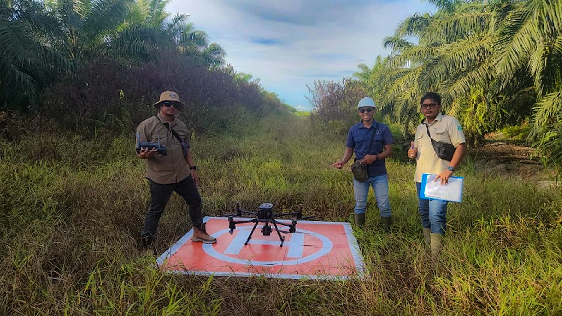 Precision Replanting Mapping & Blueprint Design in Strengthening Plantation Landscape Planning