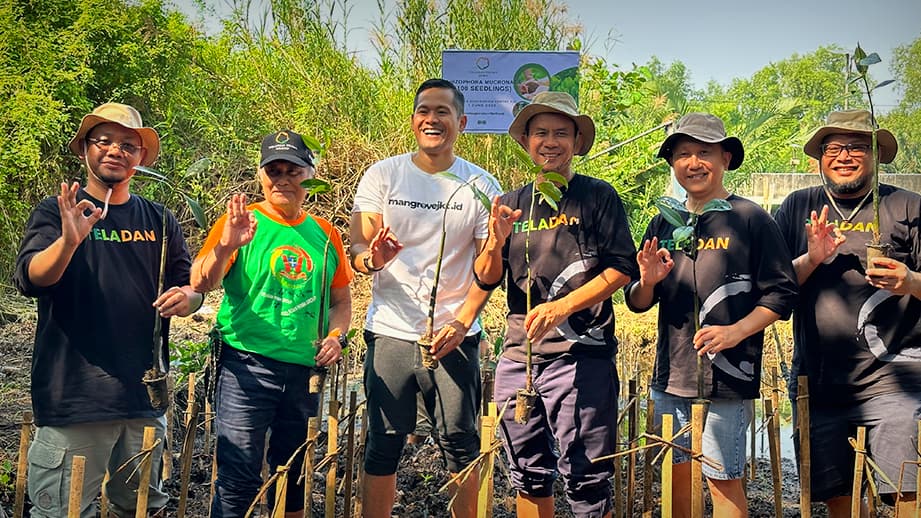 Environmental Care Initiative: Planting Mangrove and Tree Seedlings
