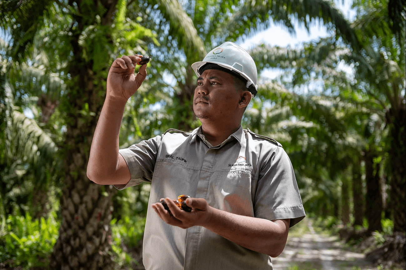 Employee working in the field